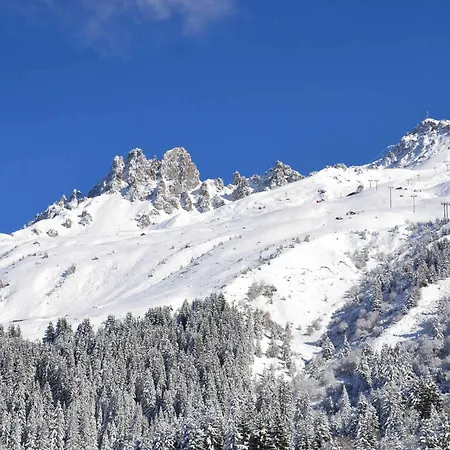 Lejlighed Divisible Skis Aux Pieds, Animaux Admis - Fr-1-182-193 *